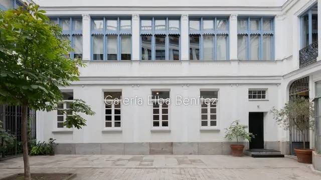 Galería Elba Benítez Website preview