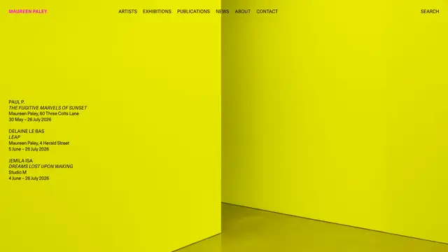 Maureen Paley Website preview
