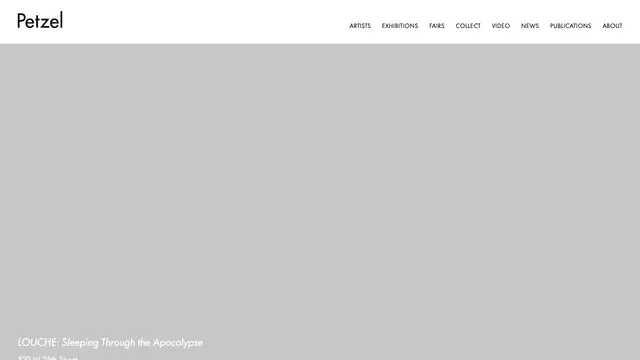 Petzel Gallery Website preview