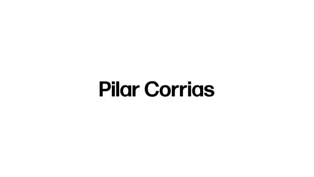 Pilar Corrias Website preview