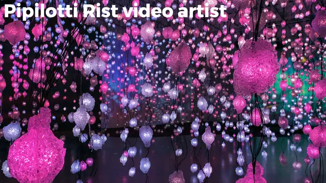 Pipilotti Rist Website preview