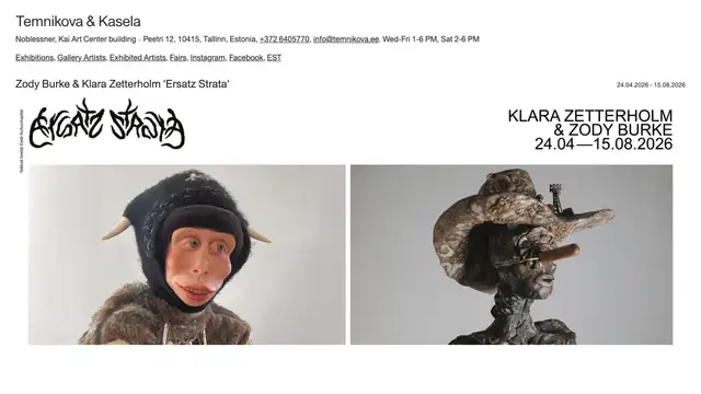Temnikova and Kasela Website preview