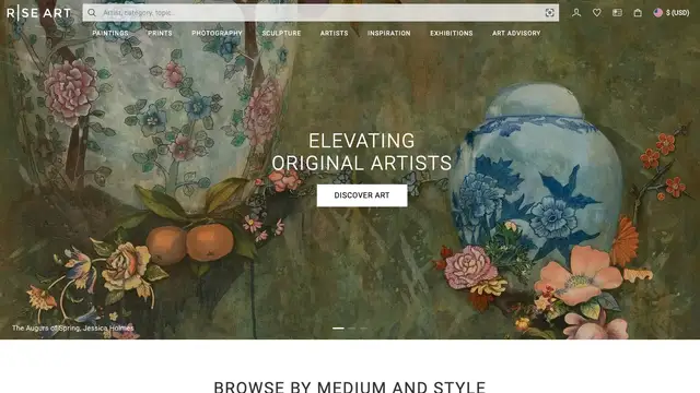 Rise Art Website preview